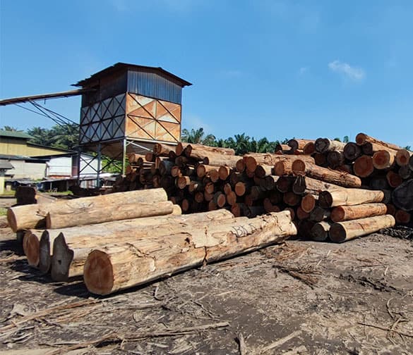 timber supplier malaysia
